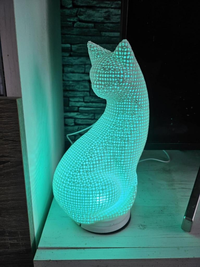 Kat met verlichting, Ophalen