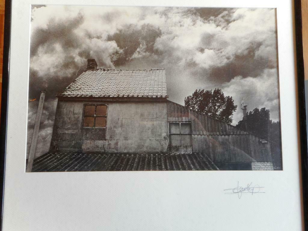 Kunstfoto van Daniel Van Cleynenbreugel, Antiek en Kunst, Kunst | Tekeningen en Fotografie, Ophalen of Verzenden