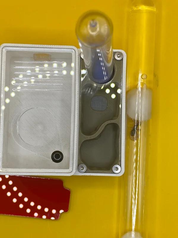 Lasius Niger koningin + 3D geprint nest set, Dieren en Toebehoren, Mieren