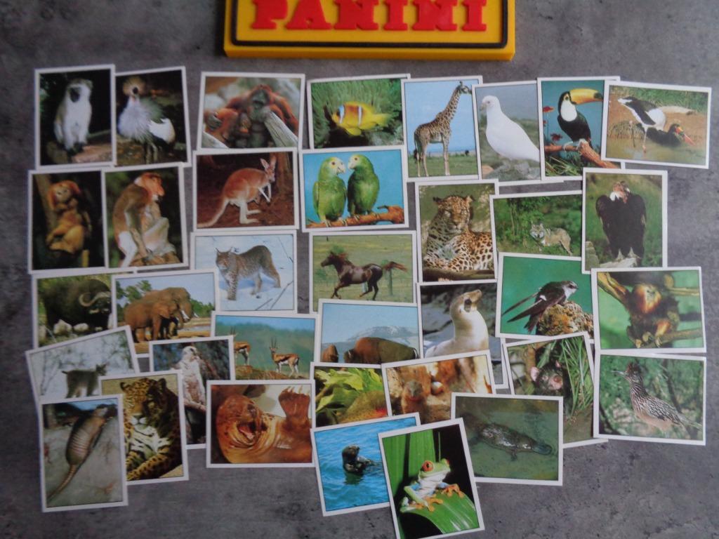 AUTOCOLLANTS PANINI ANIMAUX ANIMAUX ANNO 1991 36X, Enlèvement ou Envoi