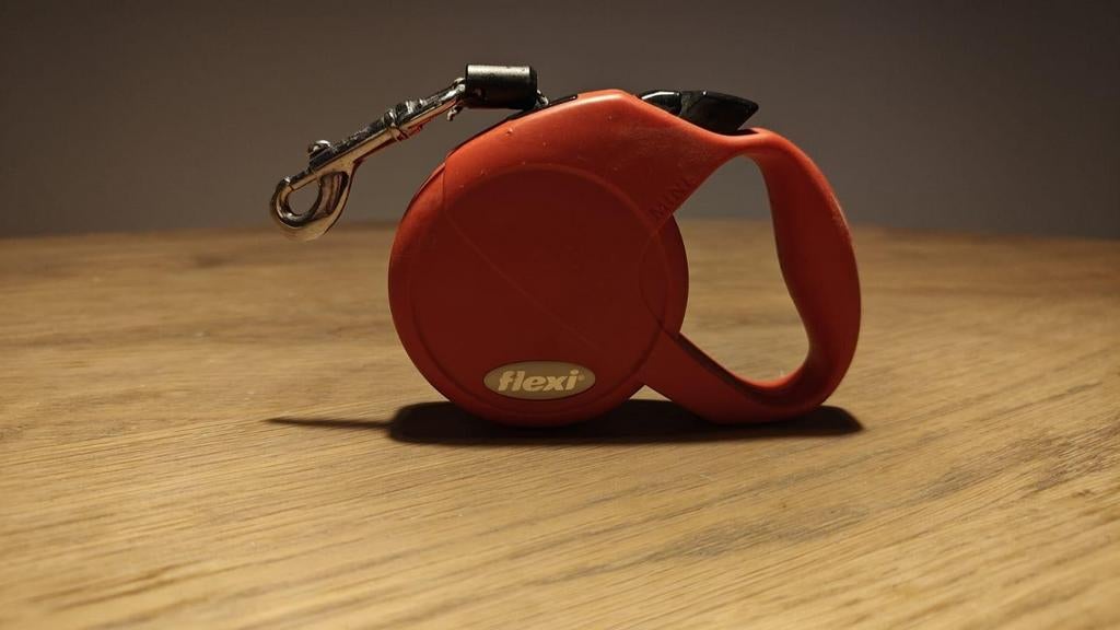 Kleine leidband, Dieren en Toebehoren, Ophalen, Zo goed als nieuw