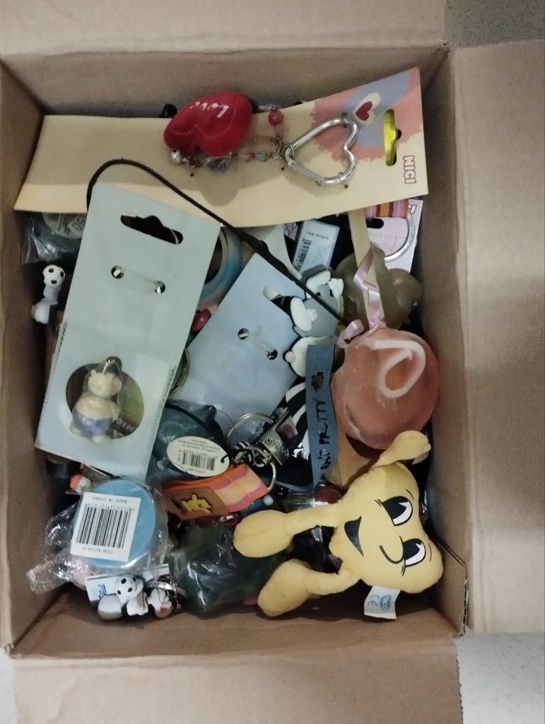 Een massa kinderspullen gelijk sleutel hanger en manetjes, Ophalen