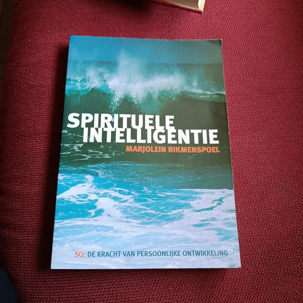 Marjolein Rikmenspoel - Spirituele intelligentie, Ophalen of Verzenden, Zo goed als nieuw, Marjolein Rikmenspoel
