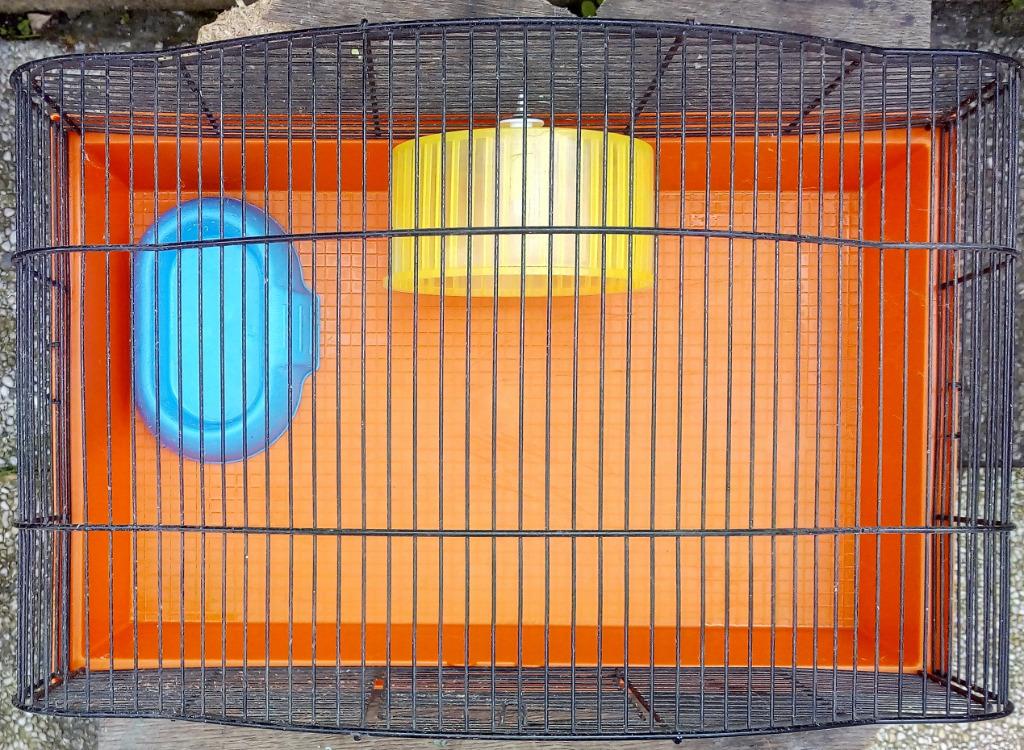 Cage Ferplast M79 pour rongeurs ou autres, Animaux & Accessoires, Enlèvement, Utilisé, Cage, Souris