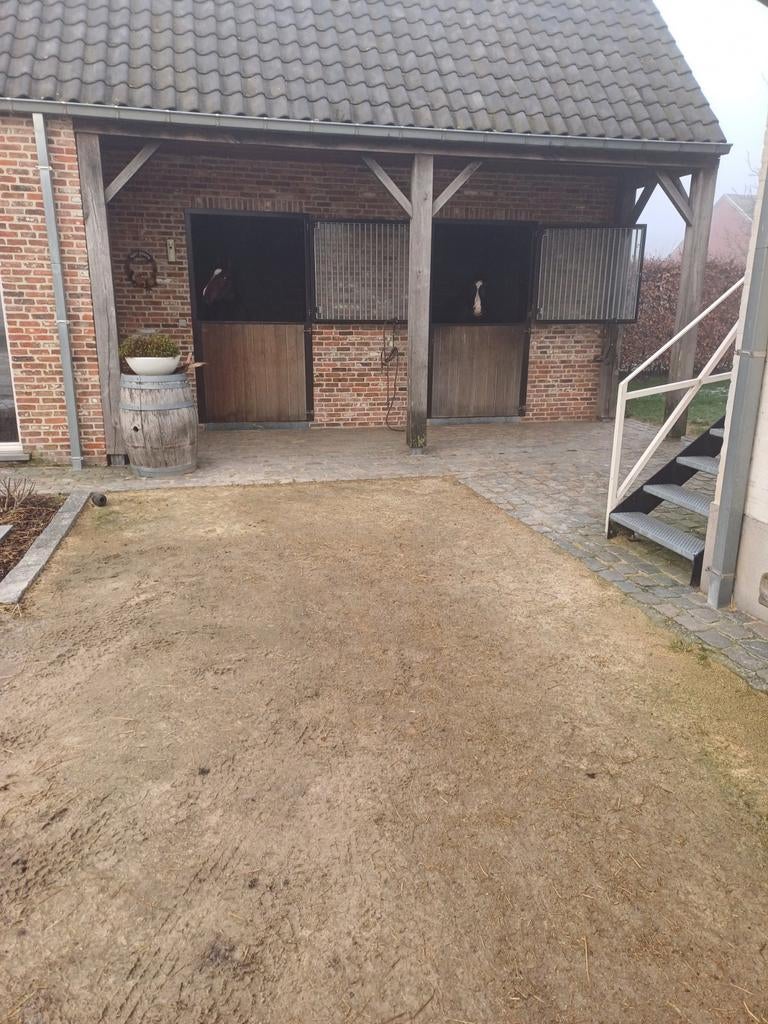 Paardenstal te huur, Weidegang