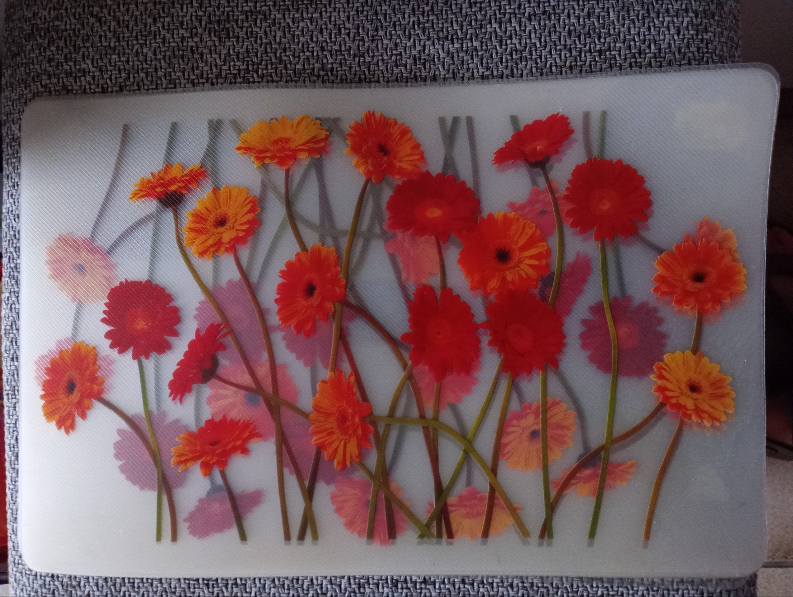 placemats plastic x12, Ophalen, Gebruikt, Overige kleuren, Kunststof