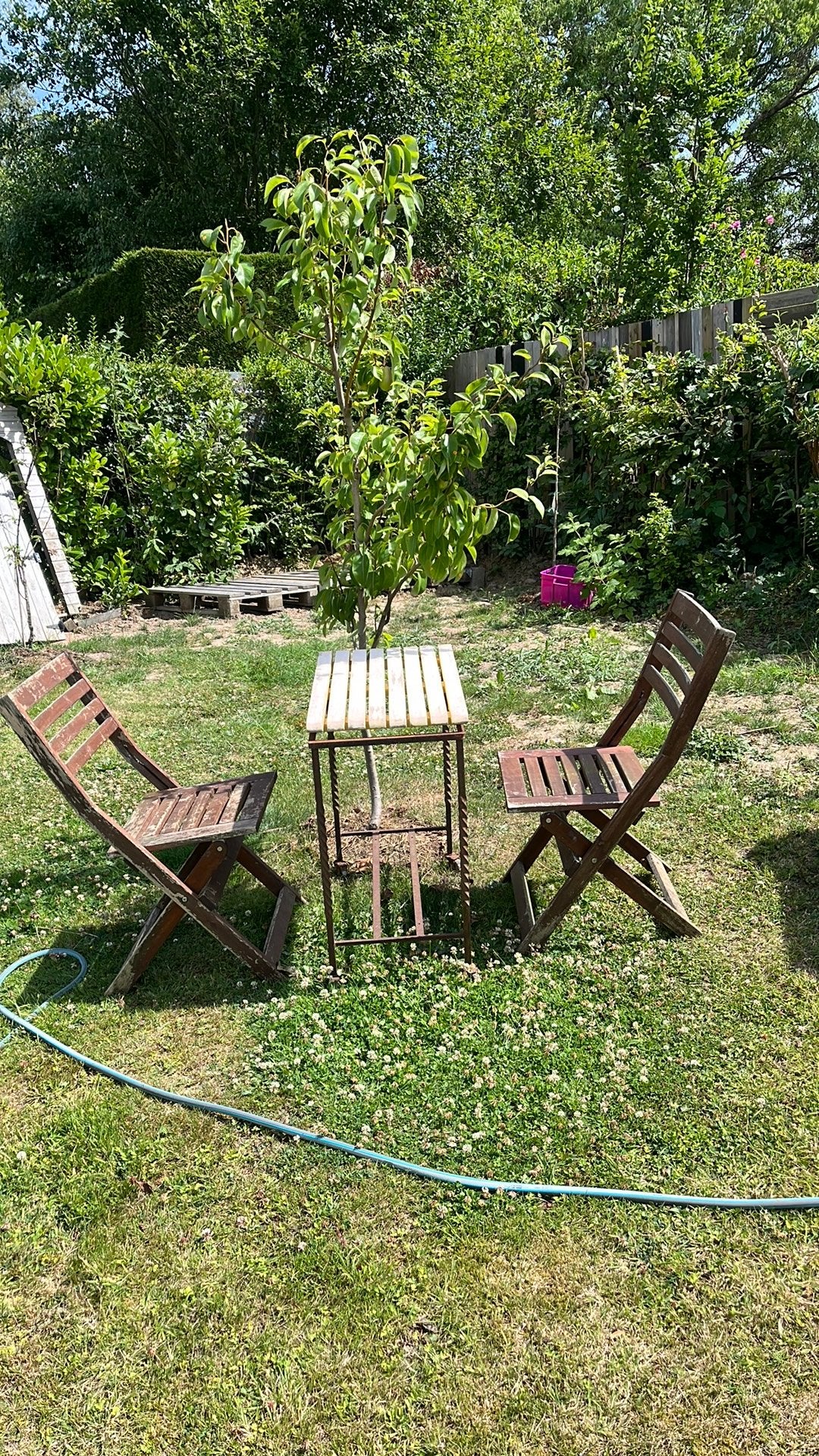 Jardin, Jardin & Terrasse, Enlèvement, Utilisé, Bois