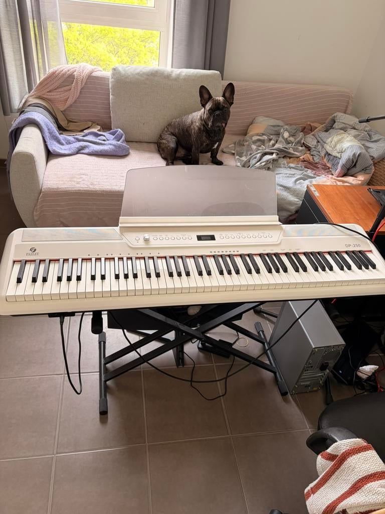 Fazley DP-250, Musique & Instruments, Enlèvement, Comme neuf