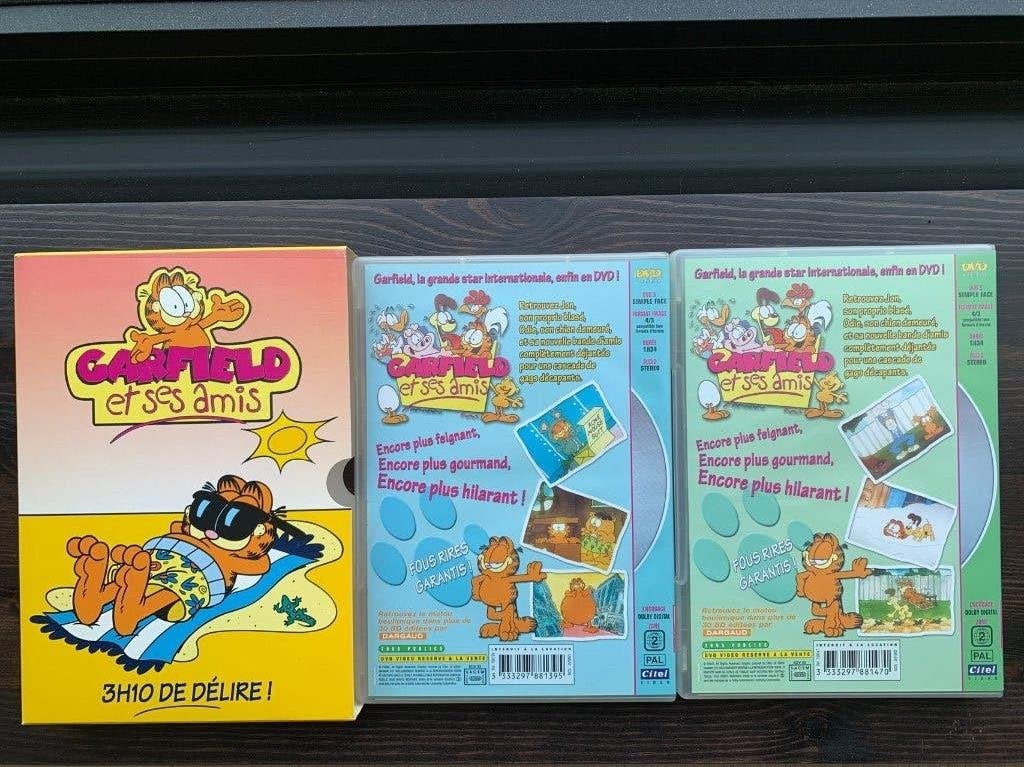 Garfield et ses amis - coffret DVD, Enlèvement ou Envoi, Dessin animé, Tous les âges, Coffret