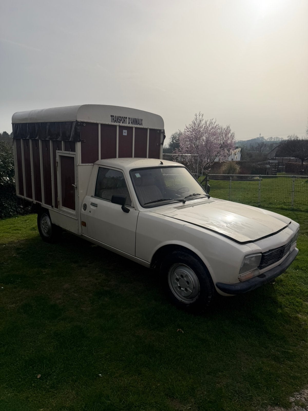 PEUGEOT 504 bétaillère de 1988 sortie de grange, Autres modèles, Achat, Boîte manuelle, 2 portes