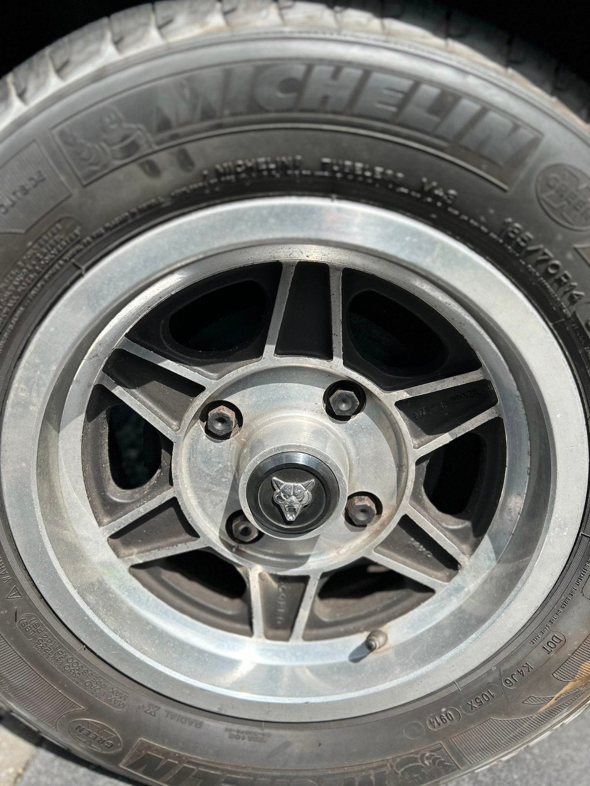 Puma cabrio, foto 8