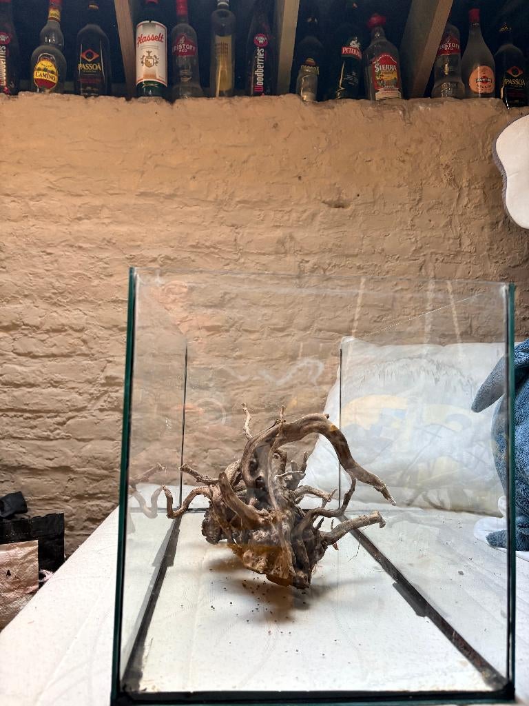 aquarium complet, Aquarium vide, Comme neuf, Enlèvement, Chauffage