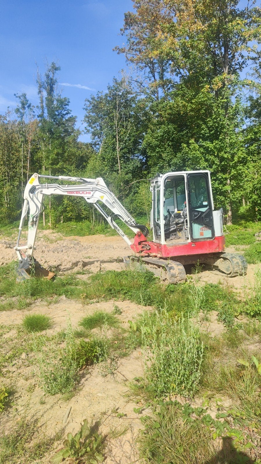 grue takeuchi 4t, Grue