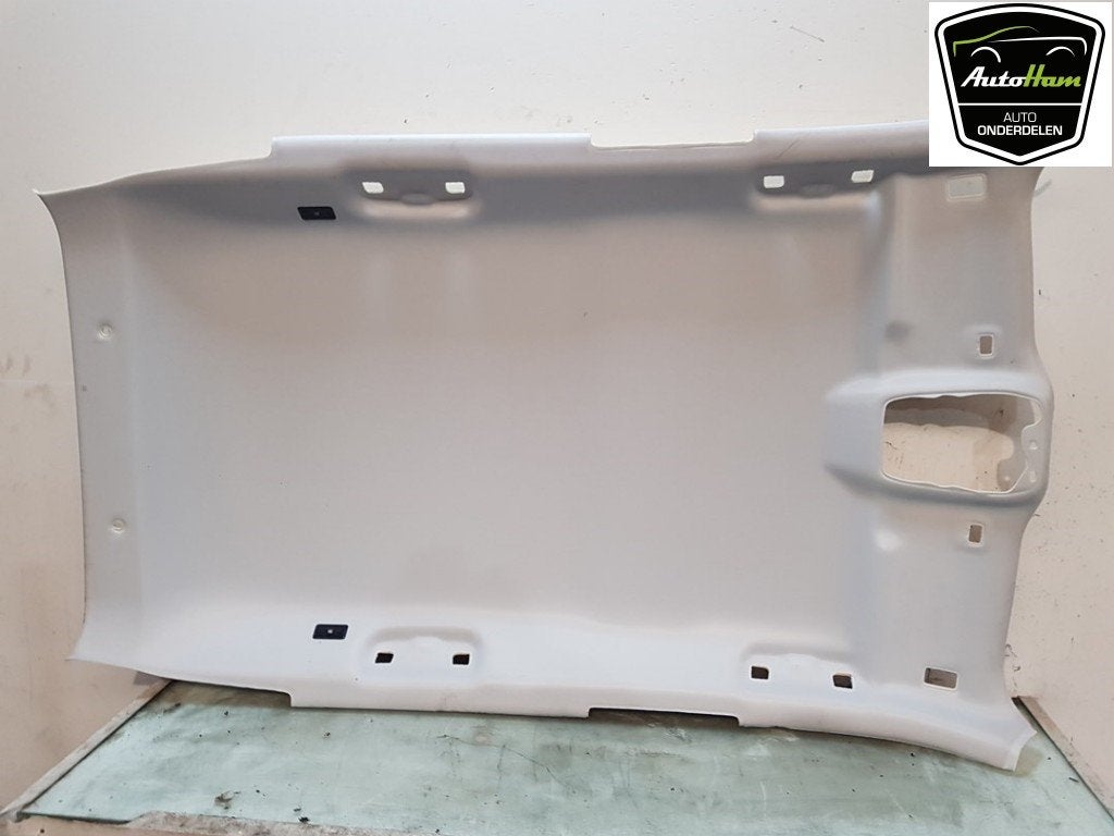 HEMELBEKLEDING 2008 (UD / UK / UR / US / UX) (|98321113PR|), Gebruikt, Peugeot