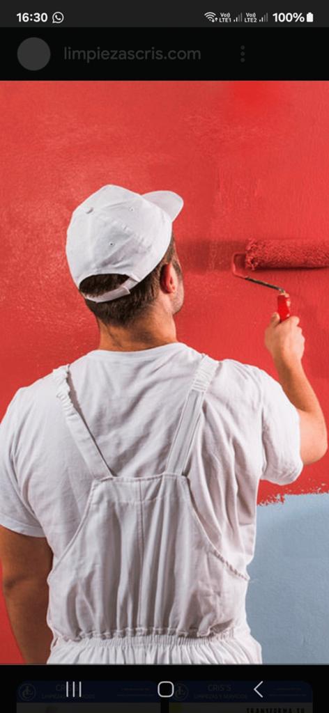 Peintre en bâtiment professionnel., Offres d'emploi, Horaire variable, À partir de 10 ans, Autres formes, Convient comme travail d'appoint