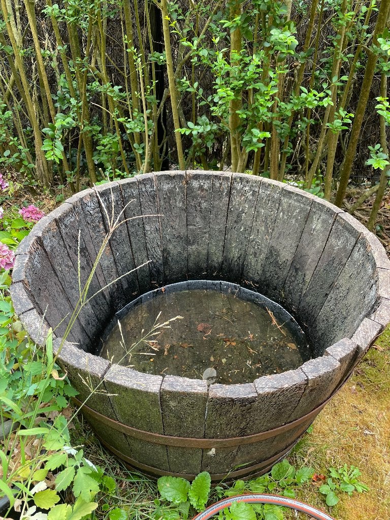 Halve houten regenton, 75 à 150 litres, Enlèvement, Utilisé, Bois