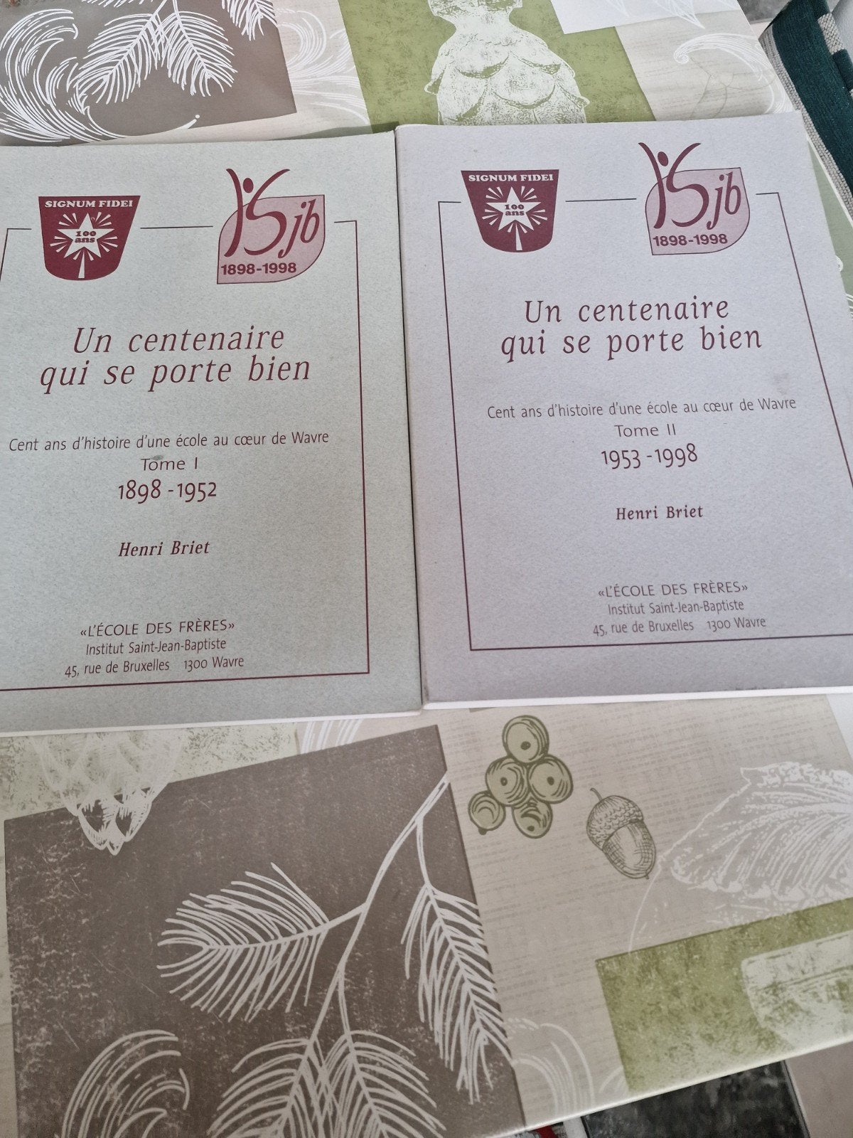 UN CENTENAIRE QUI SE PORTE BIEN, Livres, Enlèvement, Comme neuf