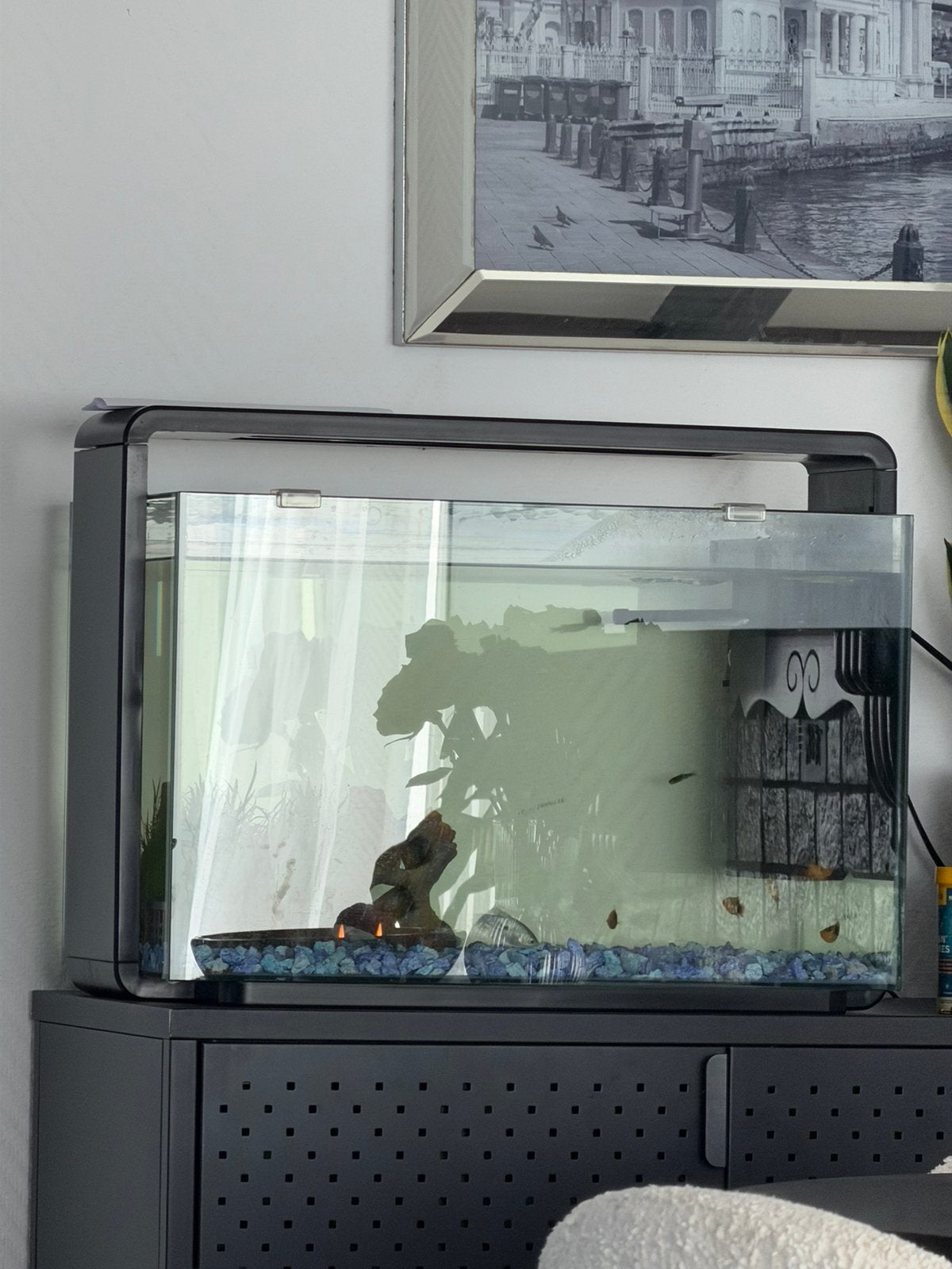 Aquarium 60l, Dieren en Toebehoren, Ophalen, Zo goed als nieuw, Filter