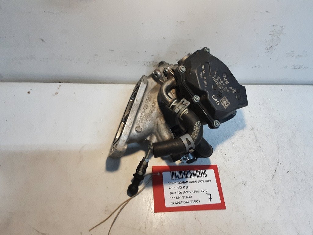 GASKLEPHUIS Volkswagen Tiguan (5N1 / 2) (04L128063N), Gebruikt, Volkswagen, Mevr. I. Hauben, Rue de l'Espoir 34 34
4030  GRIVEGNÉE, BE