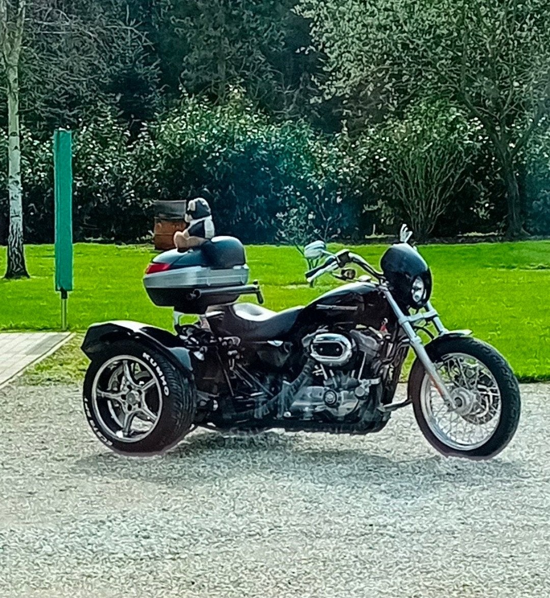 Harley Davidson BOOM trike, Motos, Particulier