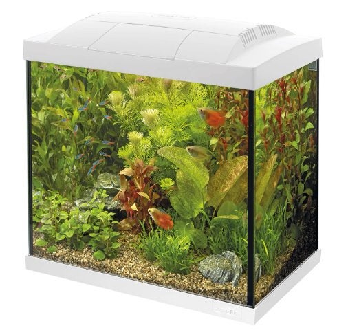 aquarium Superfish model start 50 43 cm x43 cm x29 cm, Gebruikt, Superfish, Filter, Ophalen