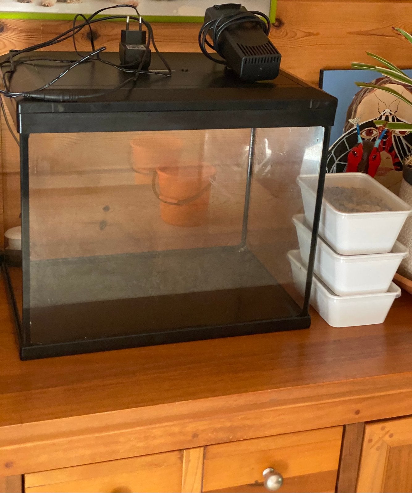 Aquarium utilisé petit à moyen format 40L, Aquarium vide, Enlèvement, Utilisé, Pompe