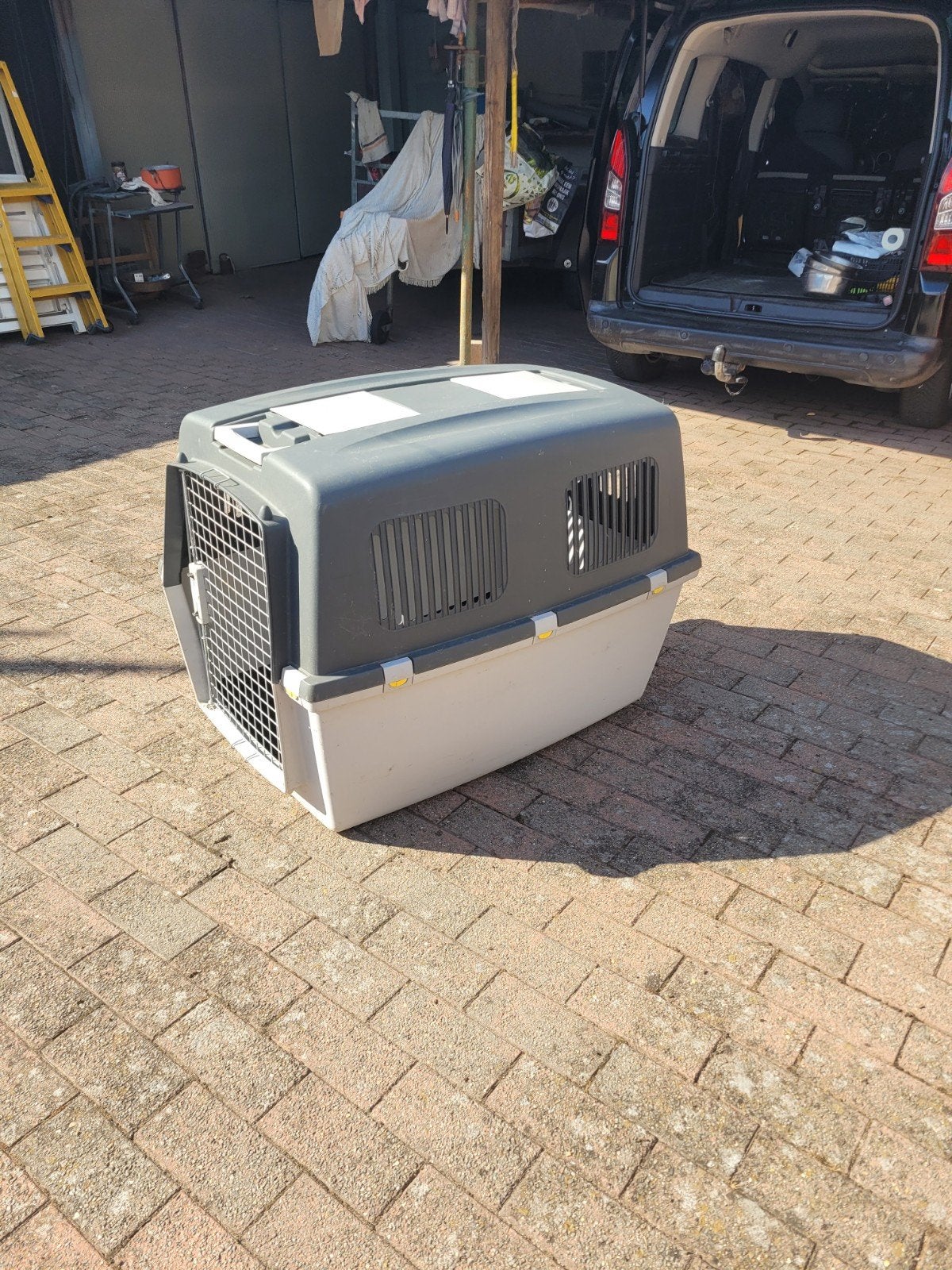 Cage pour grand chien, Enlèvement