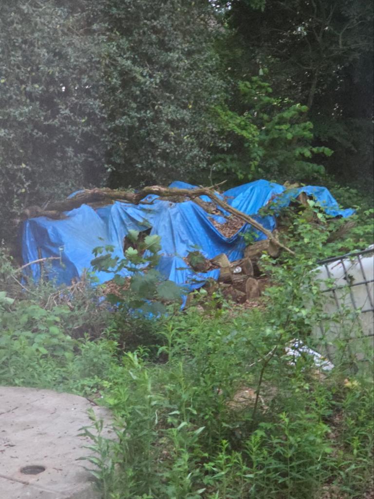Brand hout eik, Tickets & Billets, Loisirs | Jardins zoologiques