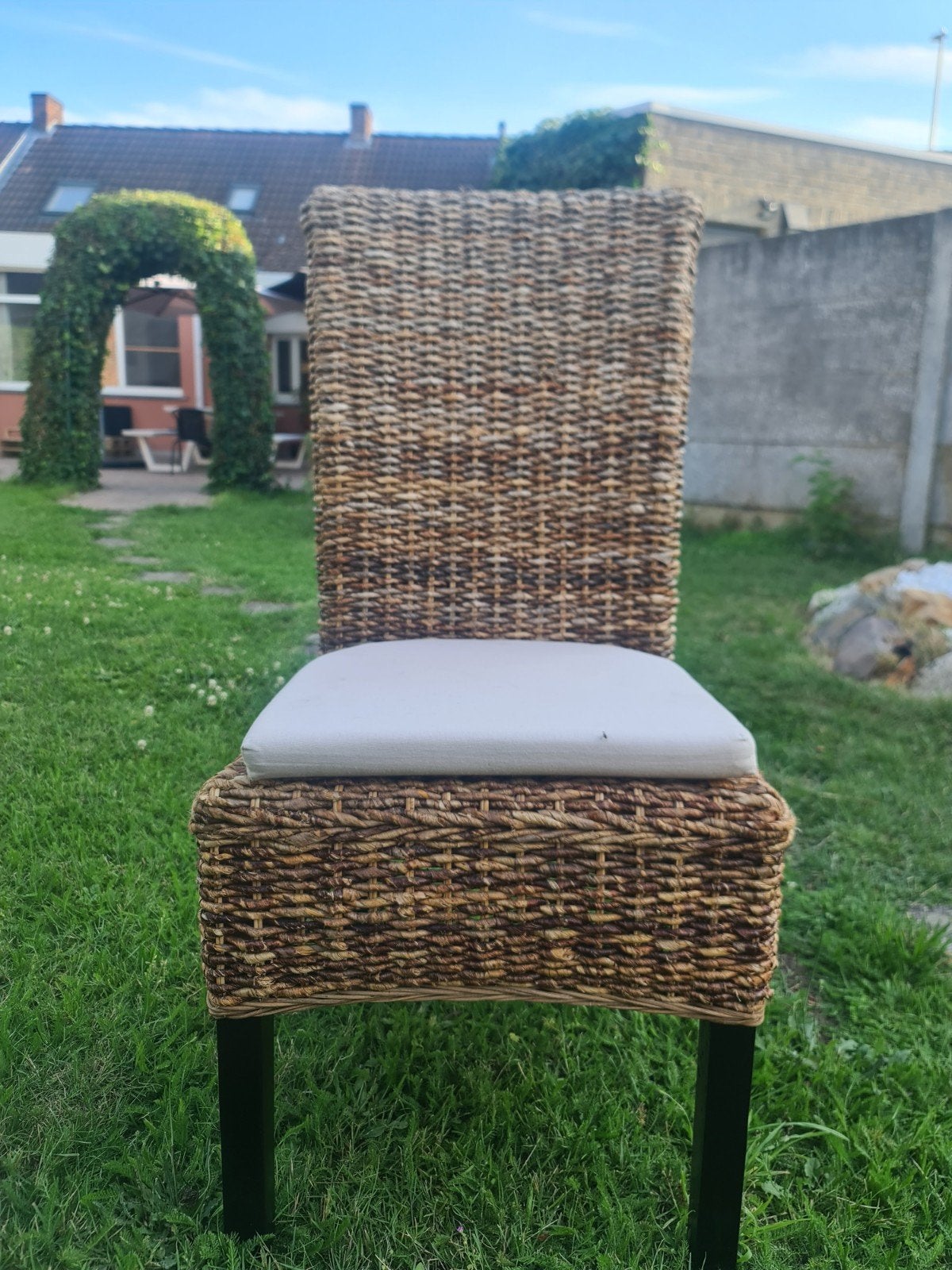 Eetkamerstoelen van gewoven bananenblad met kussens 6 St, Enlèvement