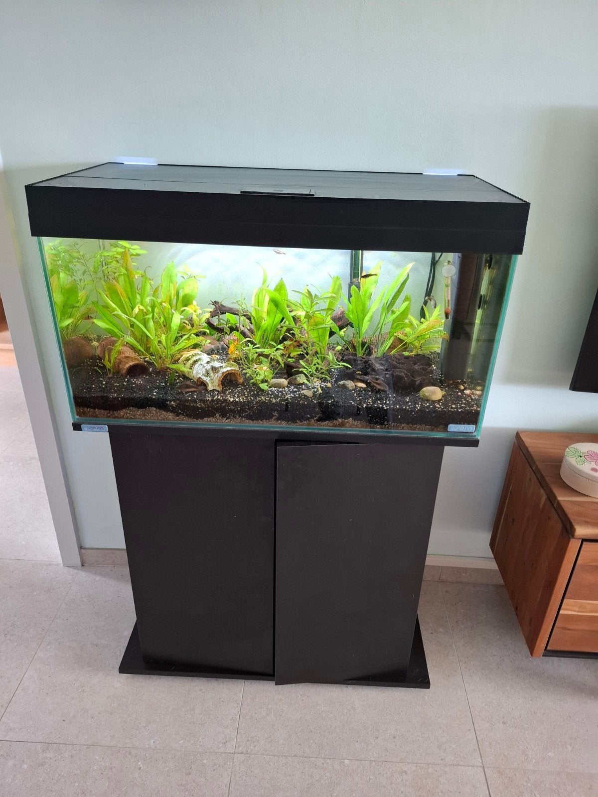 128L met vissen en accessoires, Sera, Enlèvement, Poissons inclus, Meuble d'aquarium