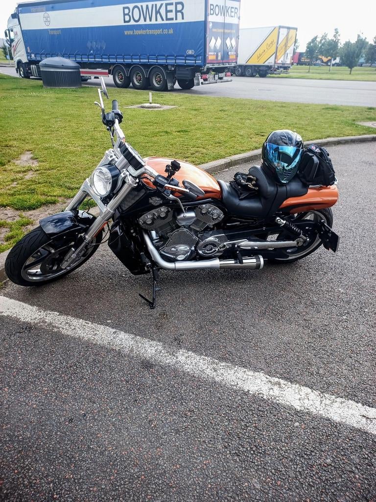 Harley Davidson vrod muscle "anniversary" limited edition, Particulier, Occasion, Sportuitlaat