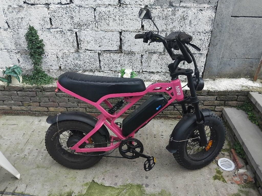 fatbike mini v20, Ophalen, Gebruikt, Minder dan 30 km per accu
