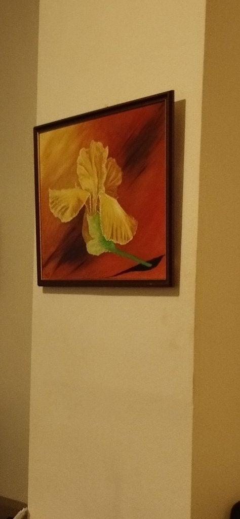 Peinture originale, Antiquités & Art, Enlèvement, Encadré