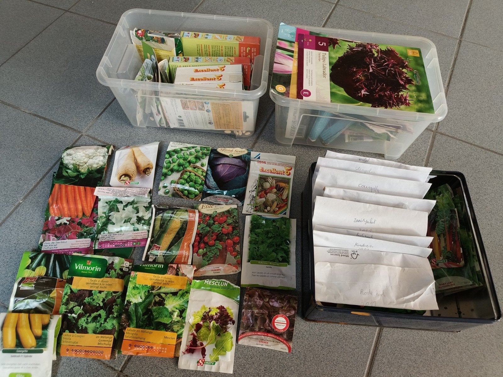 Groot experimenteerlot van diverse zaden (bloemen/groenten), Hobby & Loisirs créatifs, Sachets de thé, Enlèvement, Autres types