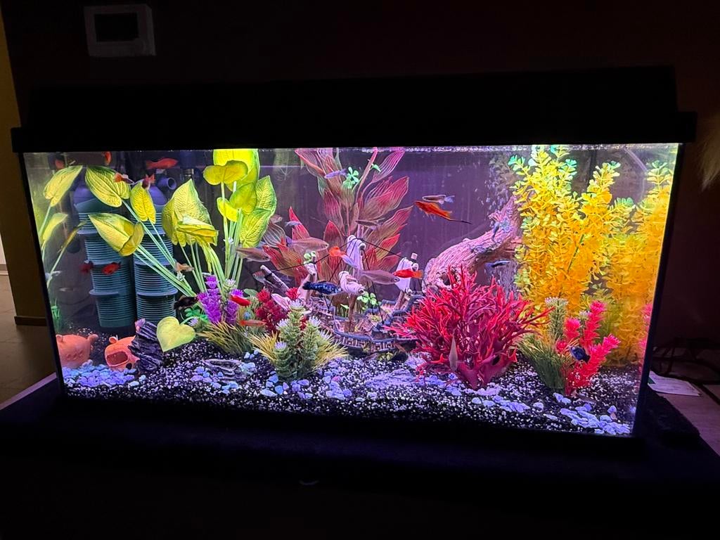 Aquarium zonder stenen planten zonder vissen, Ophalen, Gebruikt, Leeg aquarium
