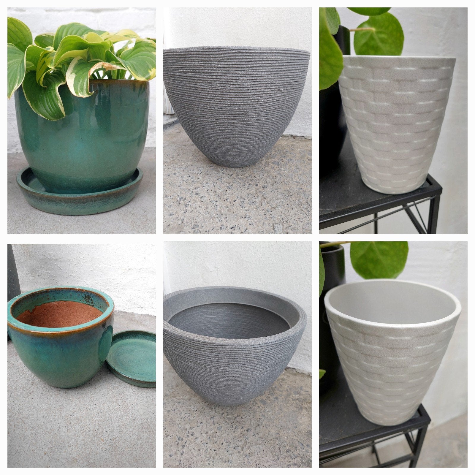 Pot & Plantes, Enlèvement