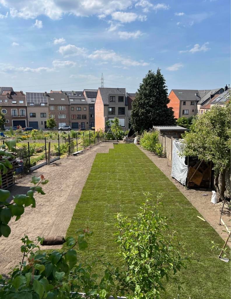 Pose de gazon professionnel, Jardin & Terrasse, Gazon & Gazon artificiel, Enlèvement ou Envoi, Comme neuf