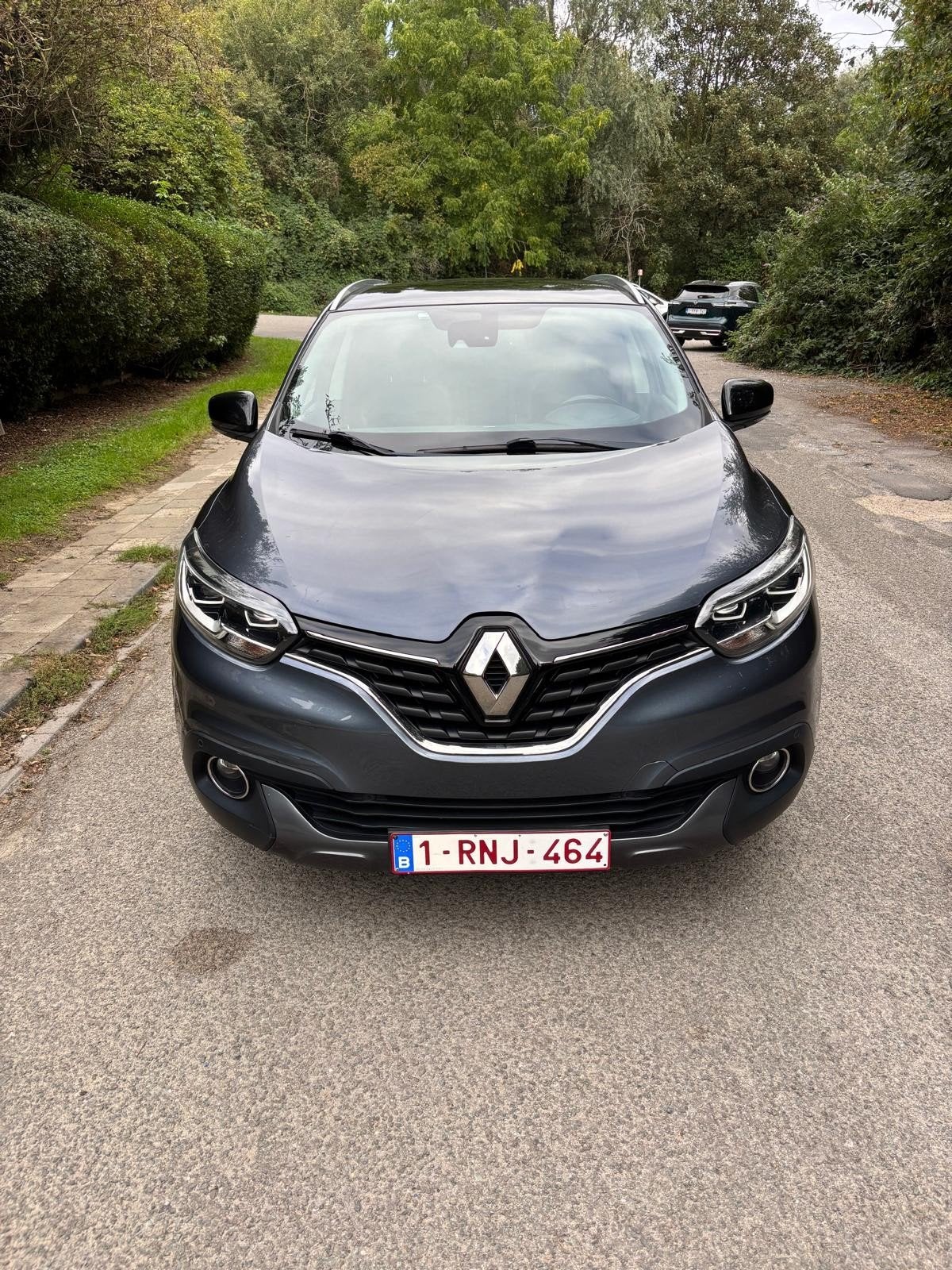 Renault Kadjar 2018, Bedrijf, Panoramadak, Te koop