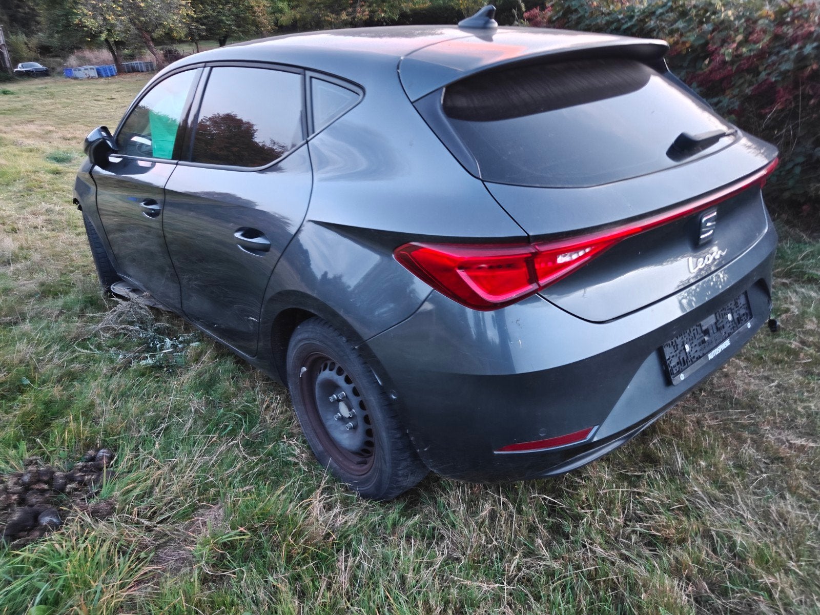 Seat Leon accidentée, Enlèvement, Essence, Seat