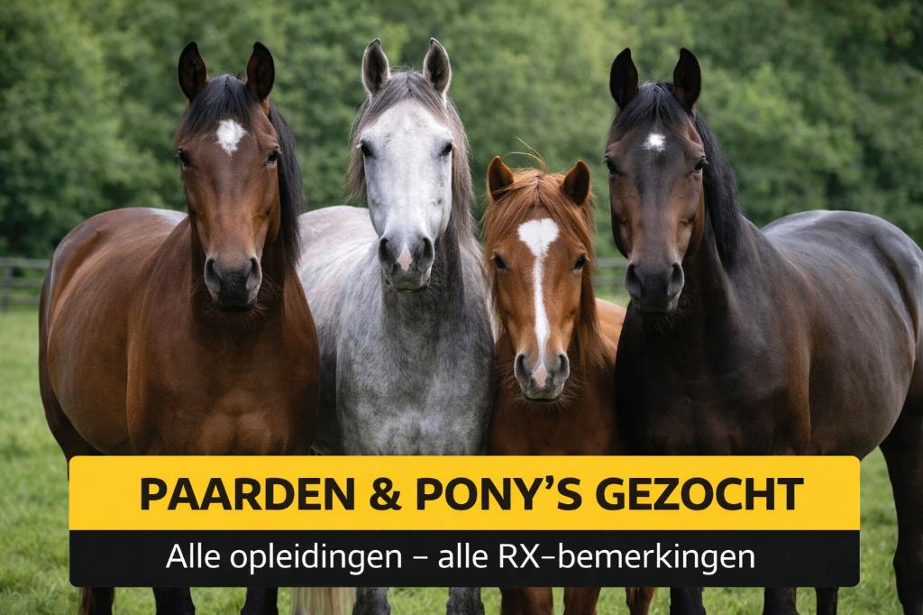 gezocht paarden en pony's, Dieren en Toebehoren, Paarden