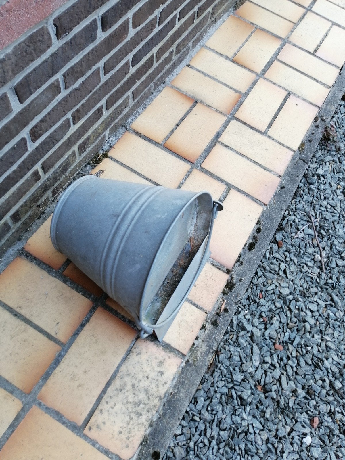 waterbak voor pluimvee