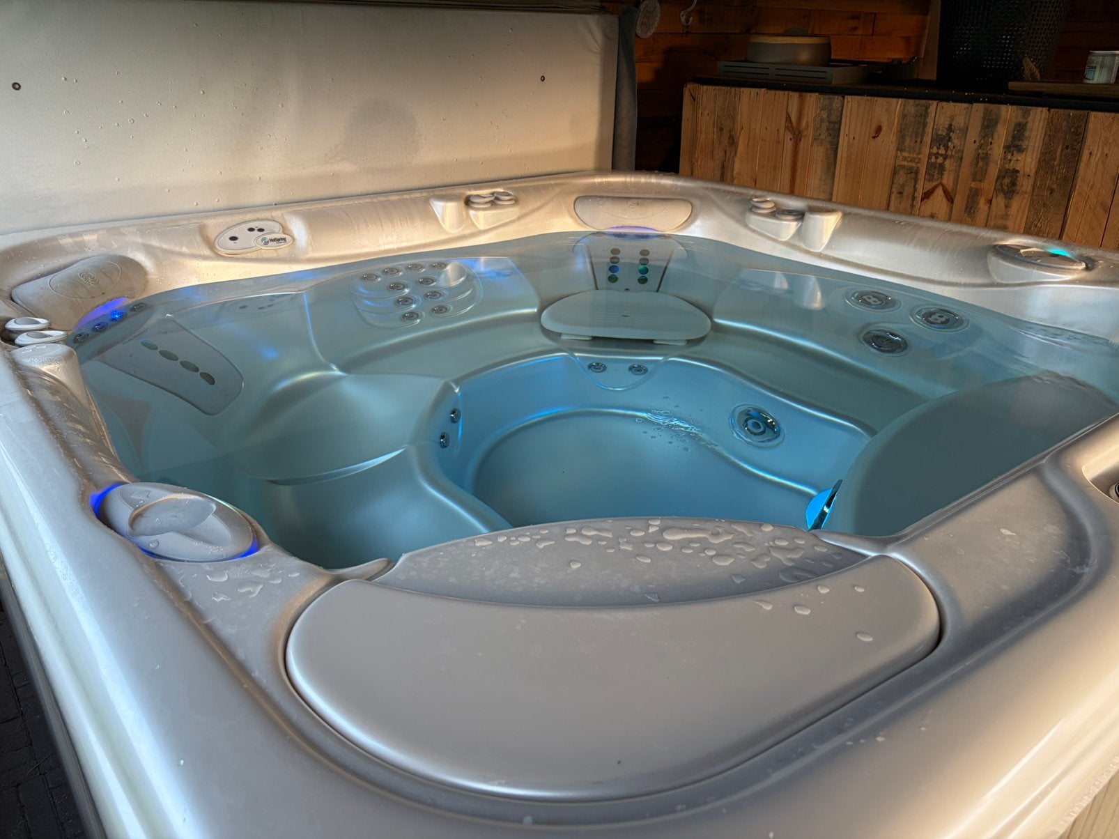 Hotspring Jacuzzi Type Vanguard, Jardin & Terrasse, Enlèvement, Utilisé, Fixé