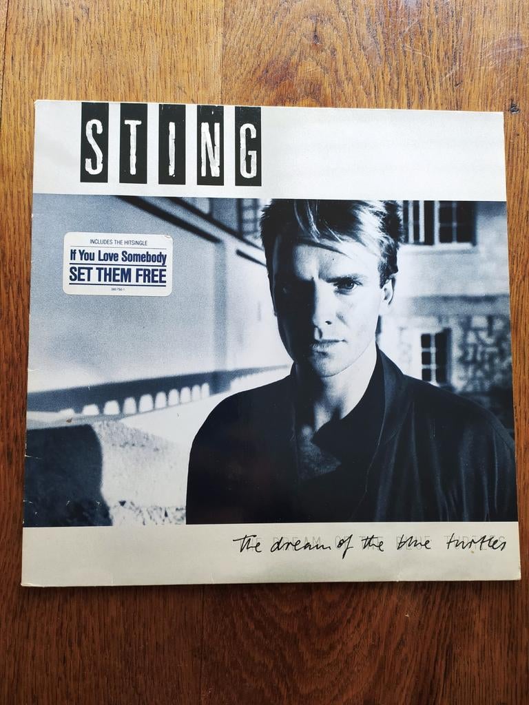 33 T vinyl Sting, Ophalen of Verzenden, Gebruikt, Overige formaten, Overige genres