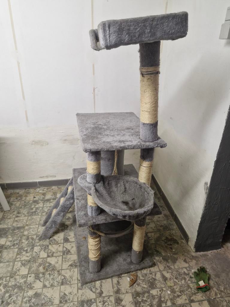 Krabmeubel voor katten, Dieren en Toebehoren, Ophalen