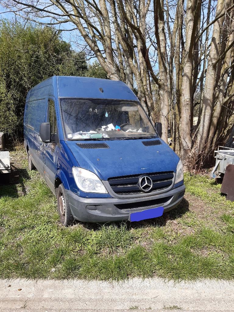 mercedes sprinter 313 CDI, Auto's, Trekhaak, Blauw, Mercedes-Benz, Particulier