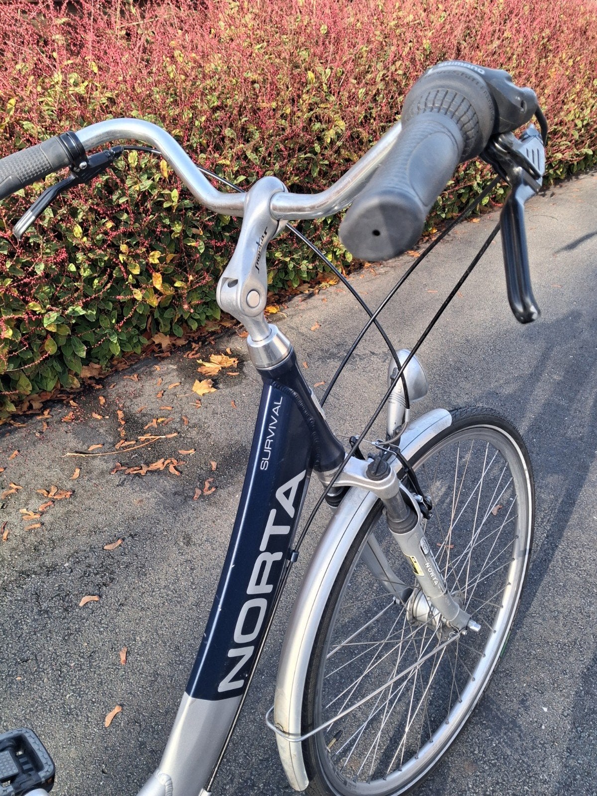 aluminium damesfiets norta nog in nieuwstaat, Enlèvement ou Envoi