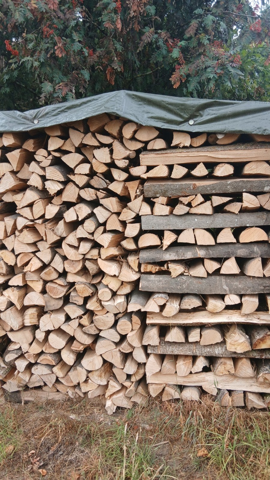 Bois chauffage, Jardin & Terrasse, Enlèvement ou Envoi, Hêtre