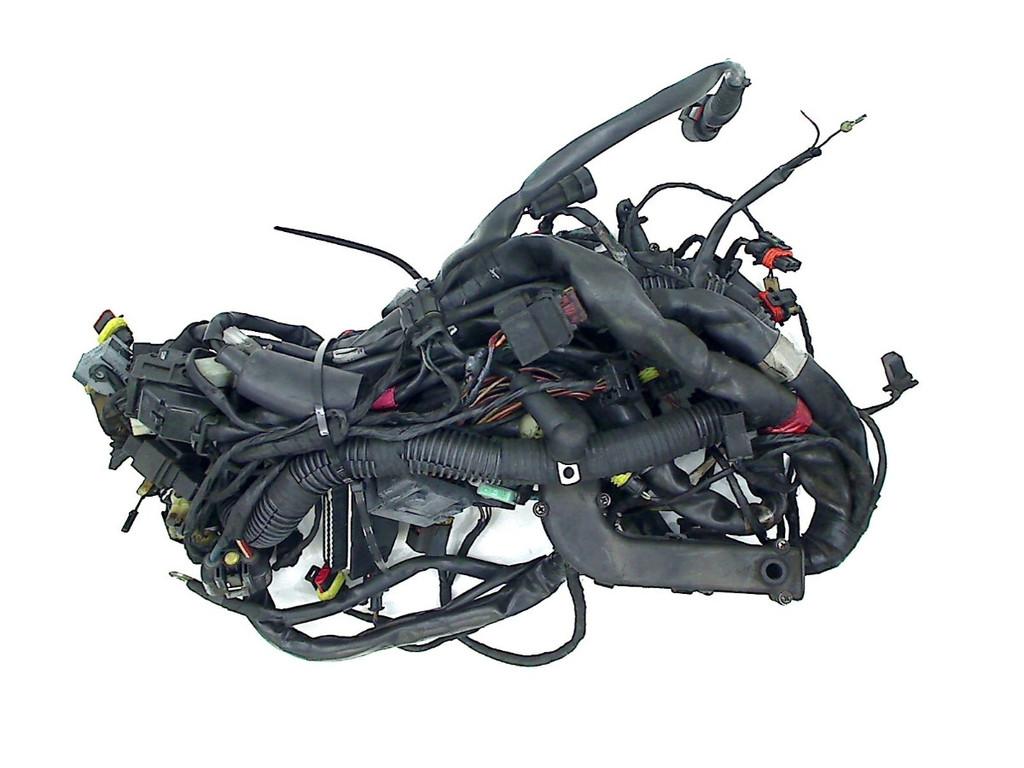 KABELBOOM Aprilia ETV 1200 Caponord 2013-2016 (ETV1200), Motoren, Dhr. S. di Majo, Gebruikt, Info@cama-motorparts.nl, P.J. Troelstraweg 8 8
3144 CX  MAASSLUIS, NL