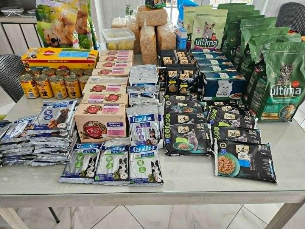 Lot d'alimentation pour chien ,chat,oiseau,, Animaux & Accessoires, Nourriture pour Animaux, Enlèvement, Chat