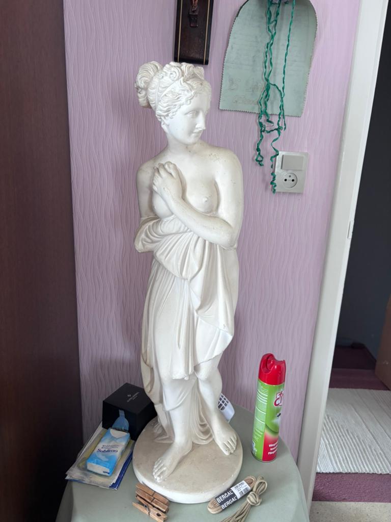 Beeld dame, Ophalen